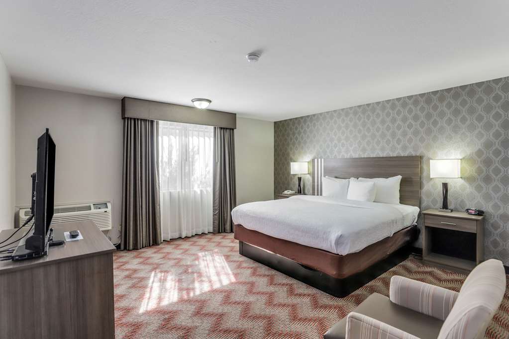 King Suite