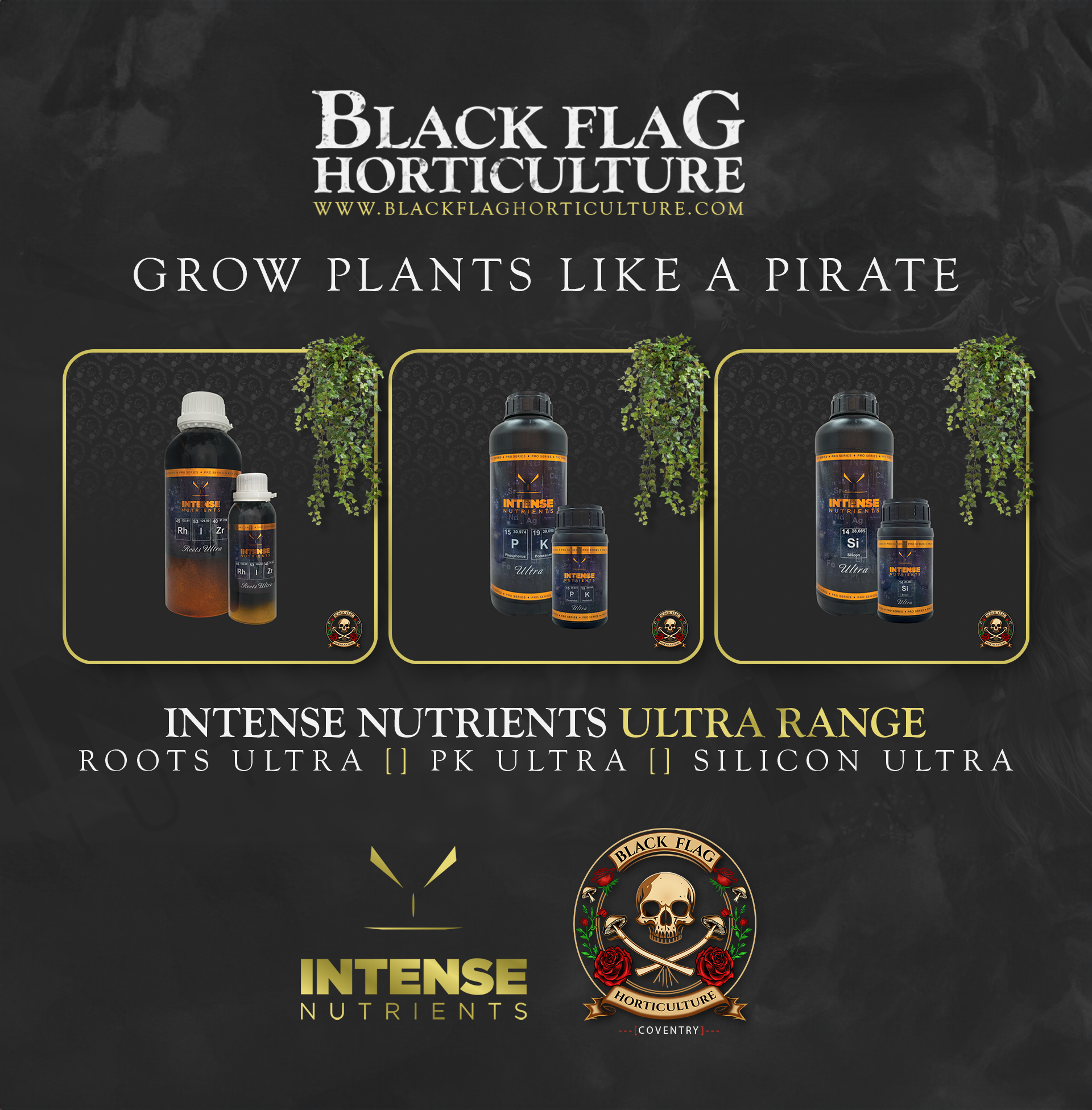 Images Black Flag Horticulture