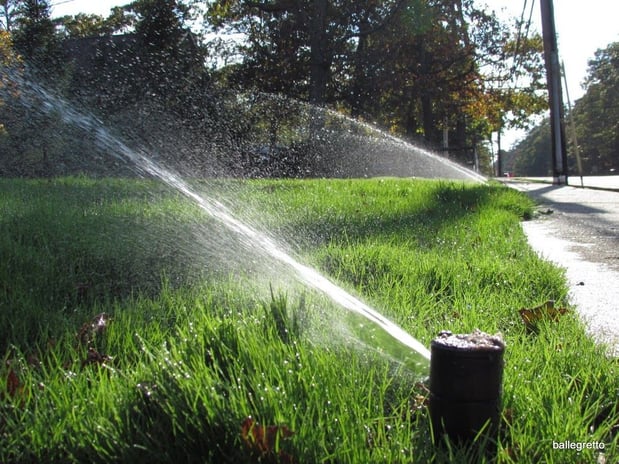 Images Aqua Turf LLC