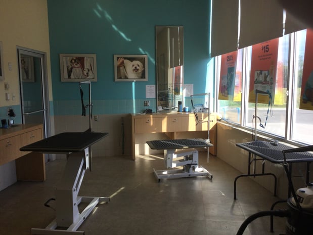 Images Petco Grooming