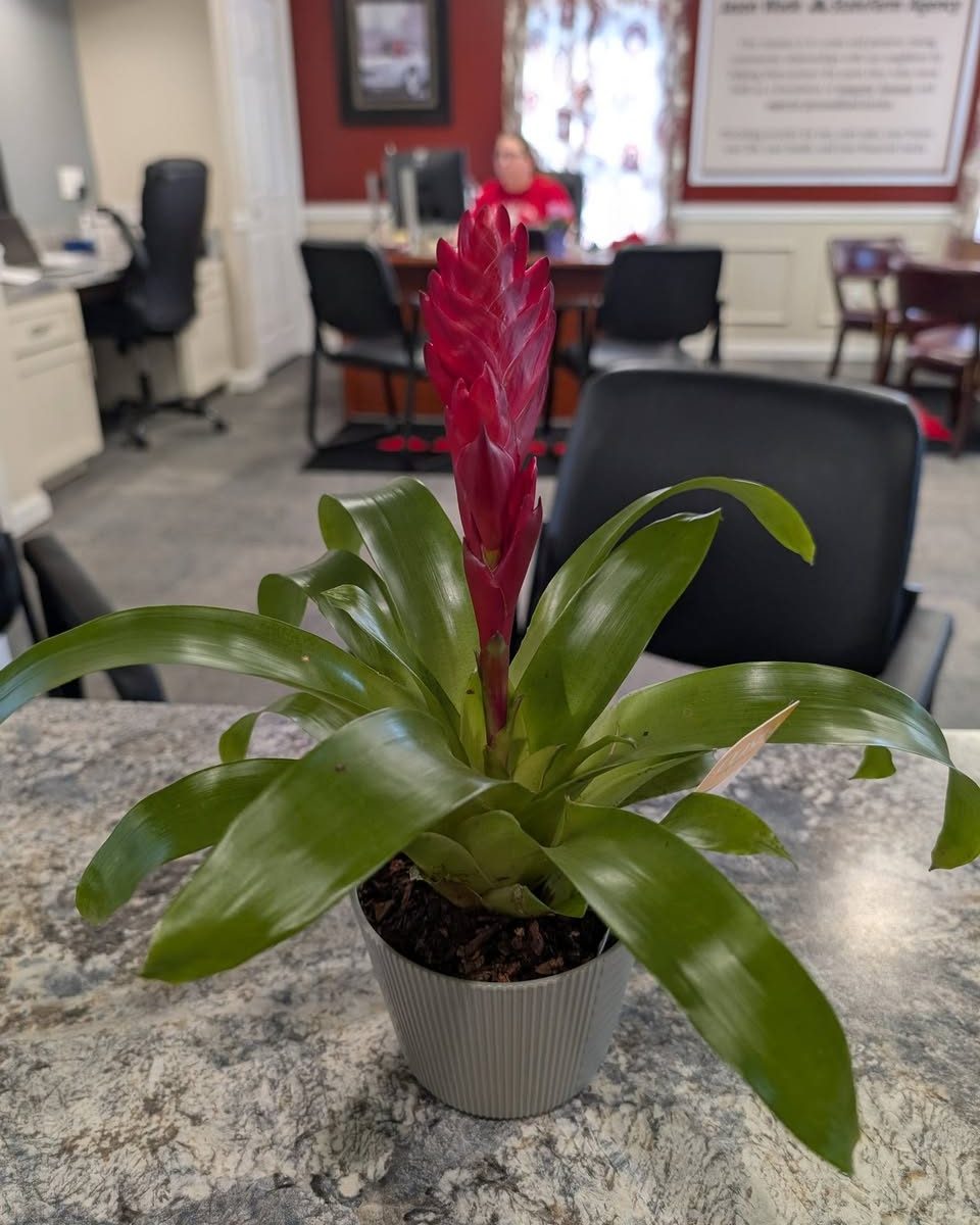 Thanks boss for showing your appreciation on Administrative Professionals Day. Each of us received a breakfast doughnut, flowers, two favorite drinks, and a handwritten card.