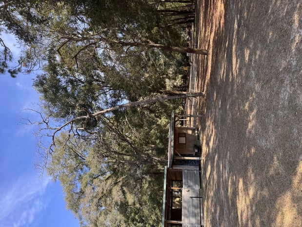 Images Trent's Tree Service The Neighborhood Arborist LLC