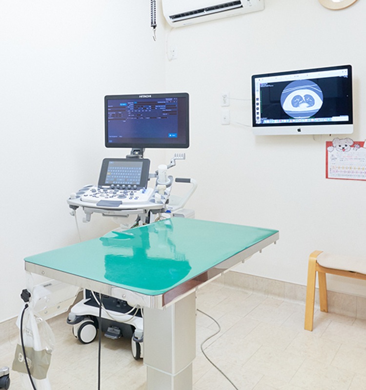 Images はせ動物病院 千葉どうぶつ軟部外科センター