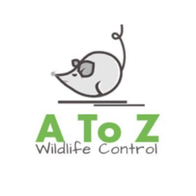 A to Z Wildlife Control
