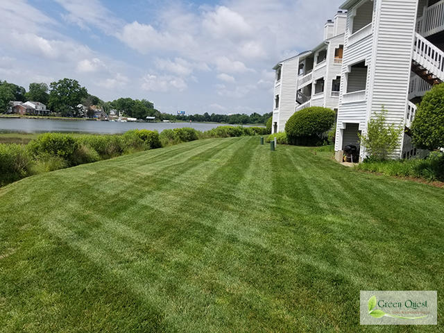 Green Quest Lawn & Landscaping Inc. Photo