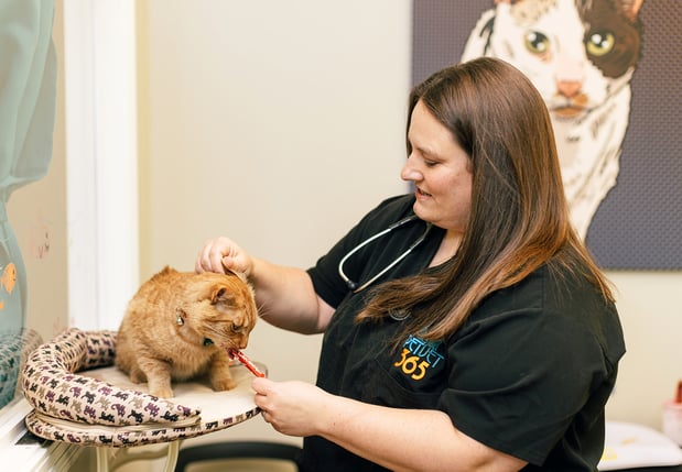 Images PetVet365 Pet Hospital Louisville / Jeffersontown
