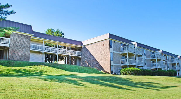 Images Treehouse Apartments