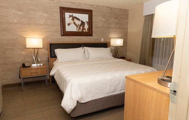 Images Holiday Inn Spearfish-Convention Center by IHG