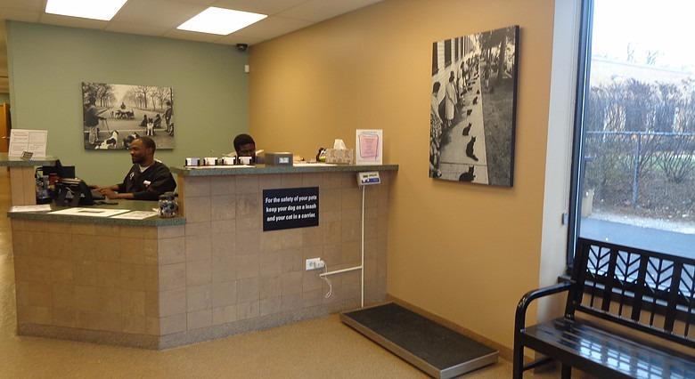 Image Result For Hyde Park Animal Clinic On Stony Island Image Result For Hyde Park Animal Clinic On Stony Island