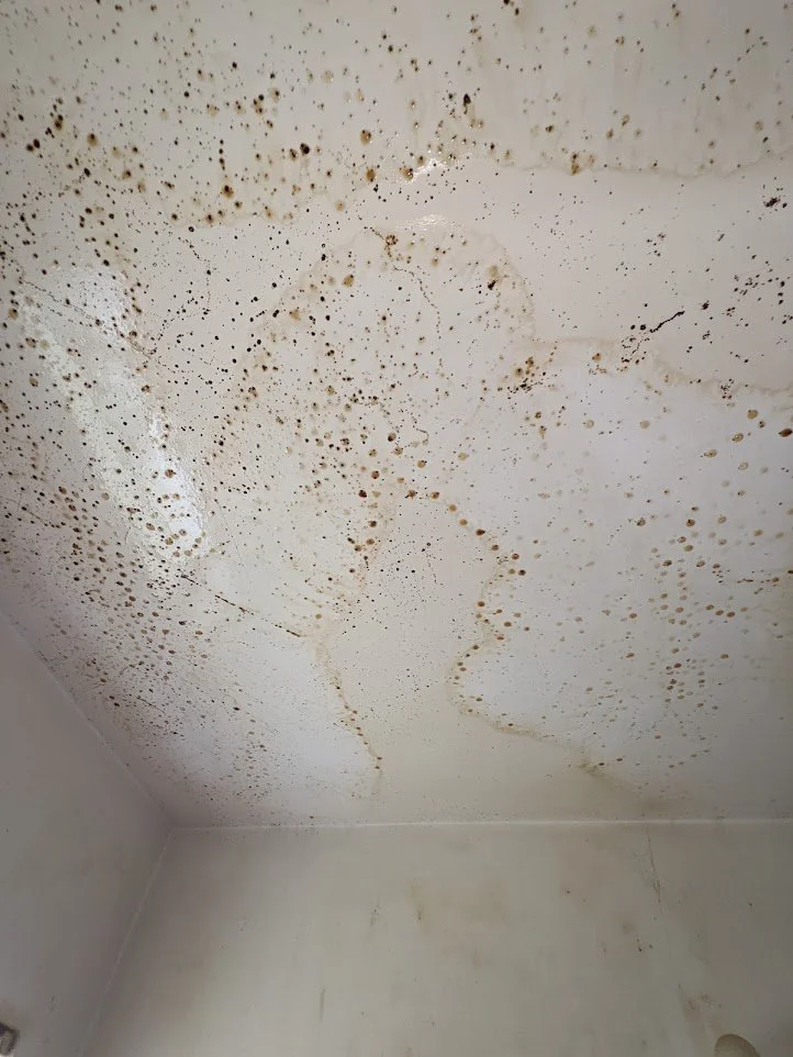 A close-up view of a white ceiling with extensive water stains and mold growth. The stains appear as irregular brown and dark spots, some forming rings and streaks, indicating a significant moisture problem. The lower portion of the image shows the top of light-colored walls, also appearing slightly discolored.