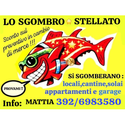 Lo Sgombro Stellato Logo