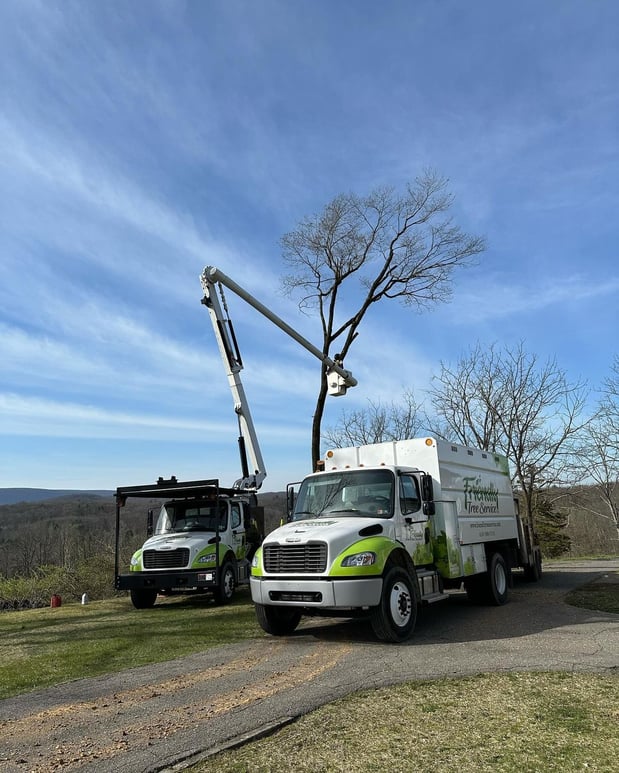 Images Friendly Tree Service Inc