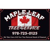 Maple Leaf Tree Service LLC Logo