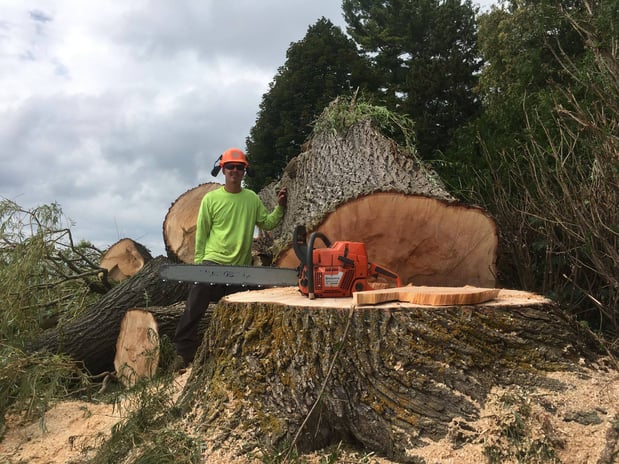 Images Deering Tree Service