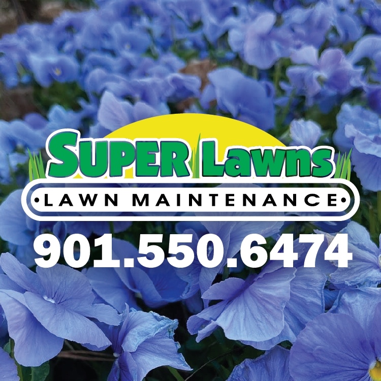 Super Lawns LLC