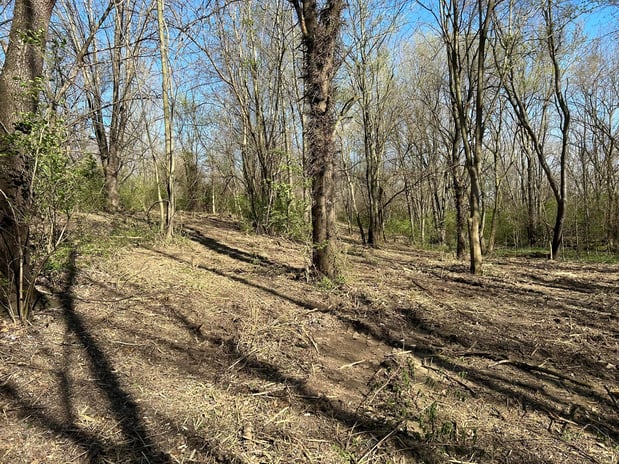 Images Trame Forestry and Land Clearing LLC