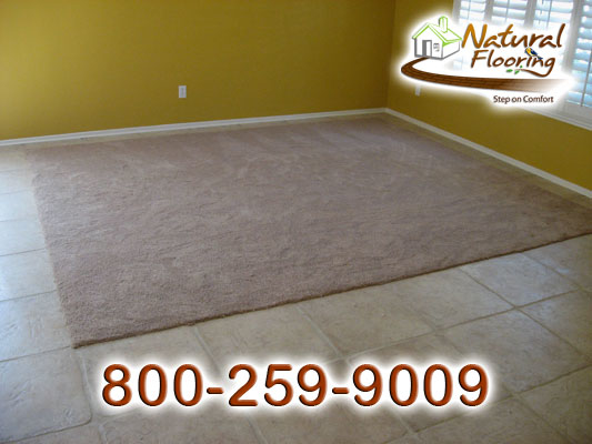 Carpet Inlay