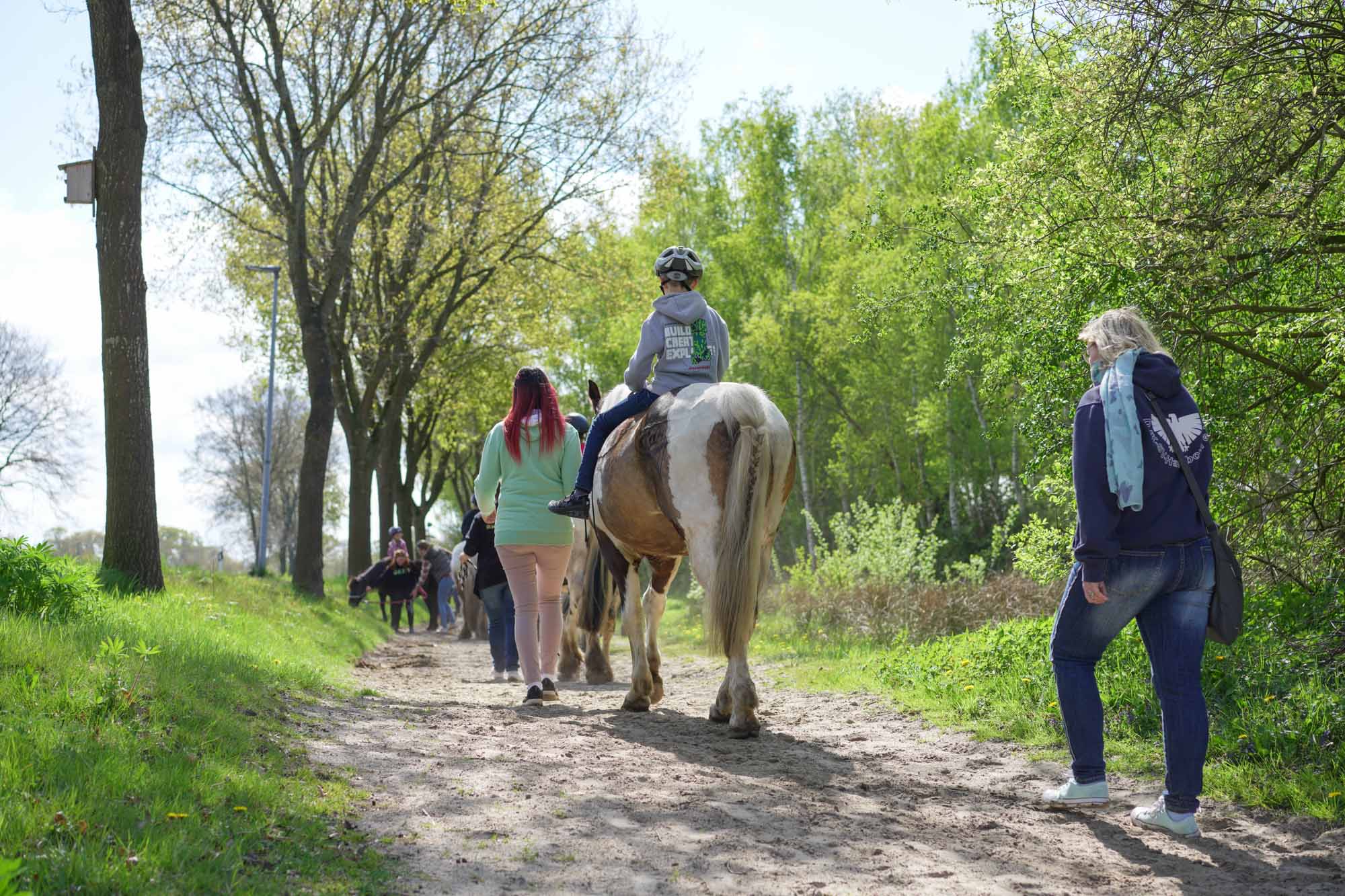 Bilder Familiencampingplatz Haselünne