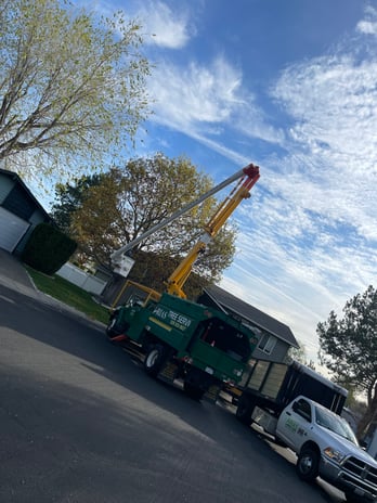 Images Arias Tree Service