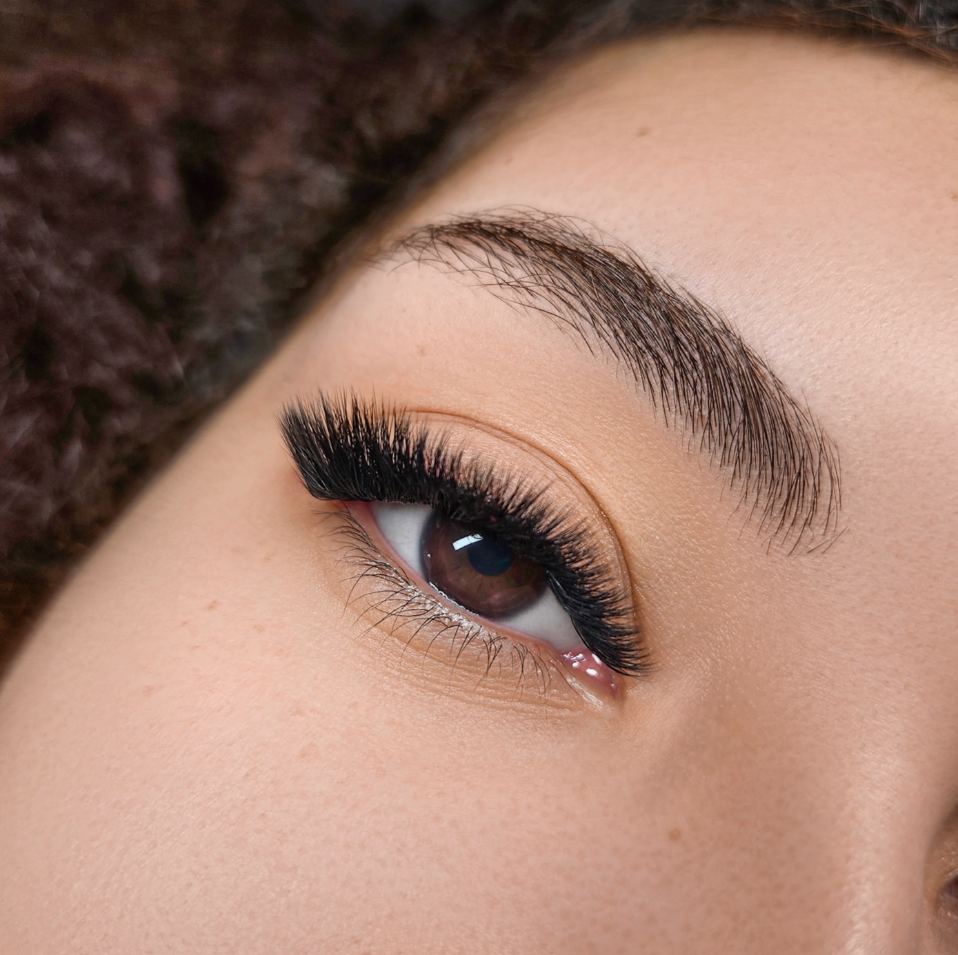 Images Lashista - Formation cils - Pose de cils - Produits de cils Longueuil