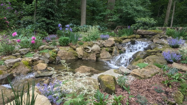 Images Impact Landscaping