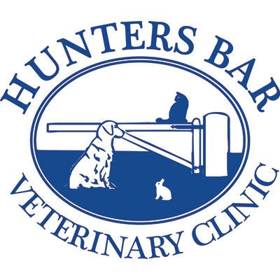 Dronfield Veterinary Clinic (Hunters Bar Veterinary Clinic) Logo