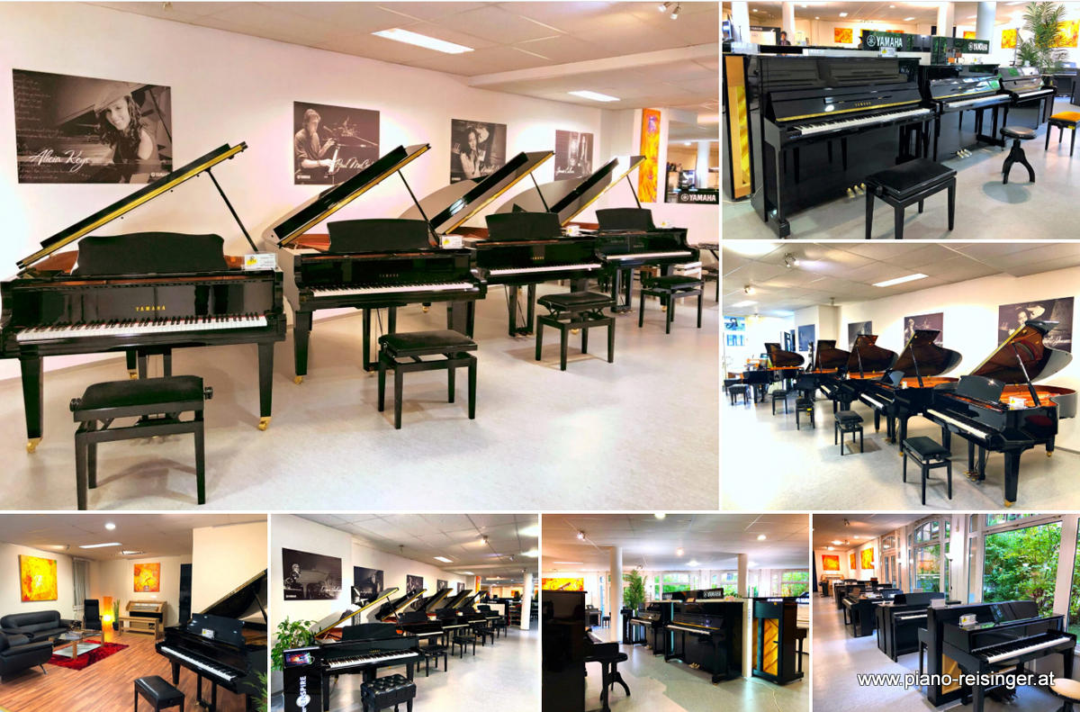 Der Reisinger, Hahngasse 11 in Wien