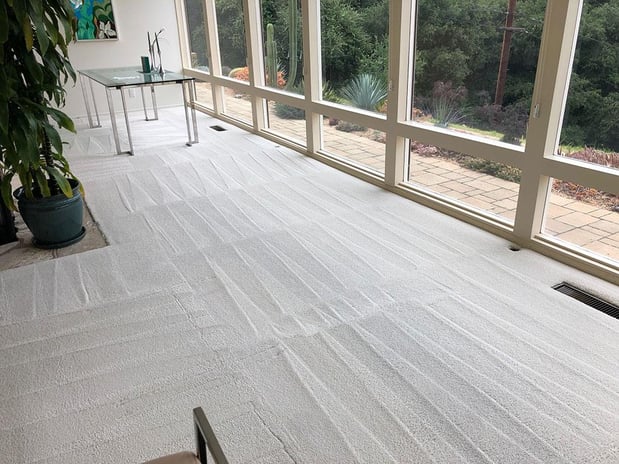 Images Zest Carpet Cleaning