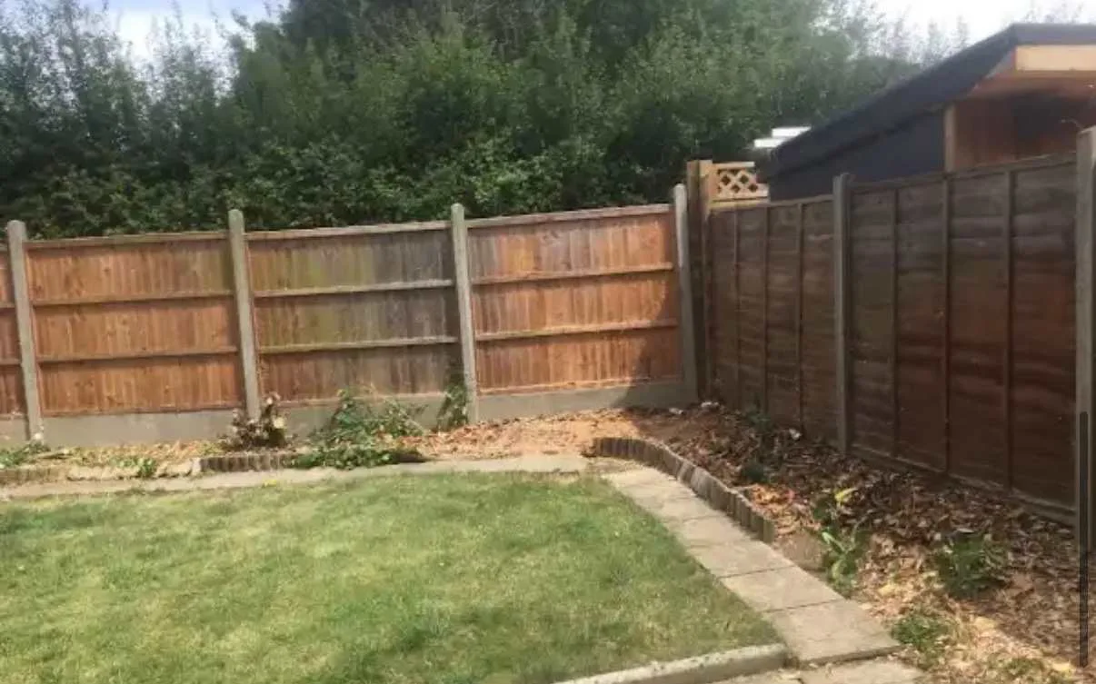 Images Tree Doctors & Landscaping