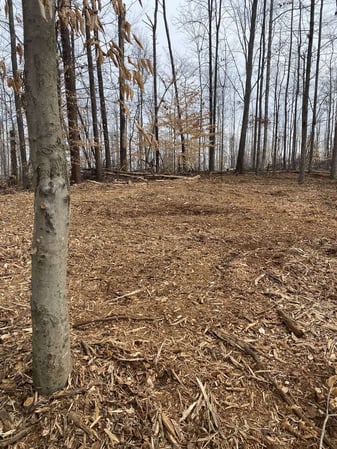 Images TerraForce Land Management