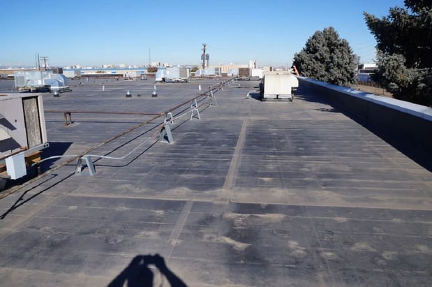 Images Archibeque Roofing