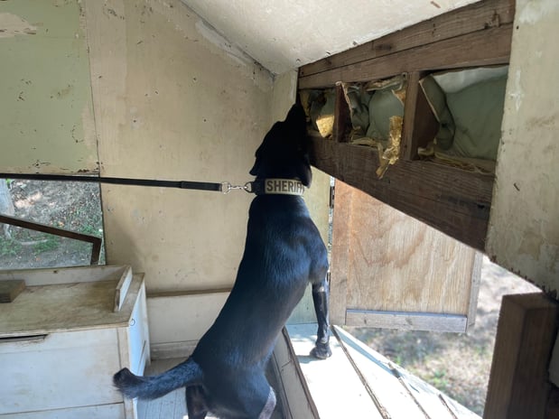 Images Custom Canine Unlimited