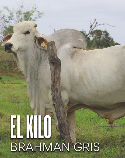 Images Rancho La Marina