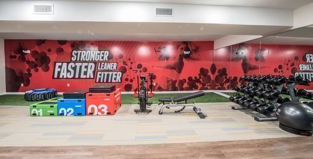 Images Holiday Inn Express & Suites Houston Westchase - Westheimer by IHG