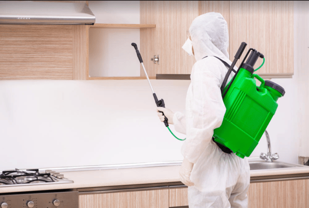 Images Delta Pest Services Inc.
