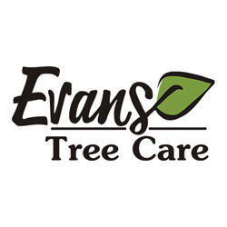 Evans Tree Care Logo