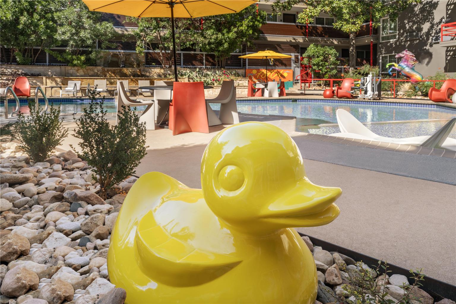 Duck Statue 