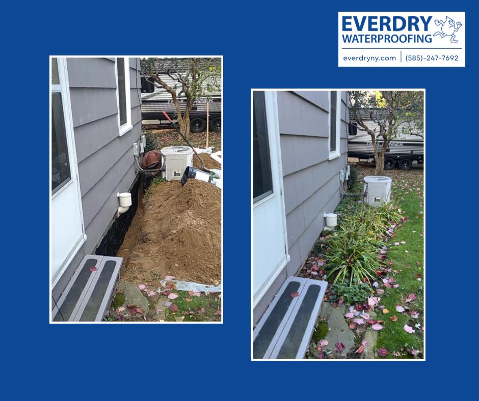 Everdry Waterproofing Image