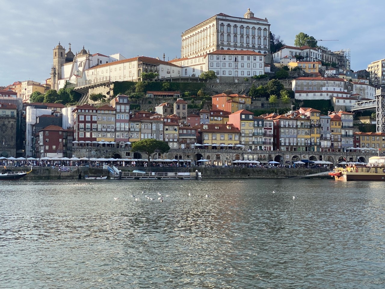 Images Douro Sailing