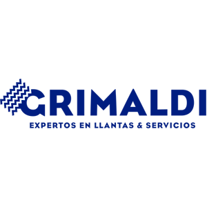 Grimaldi Ermita - Michelin Car Service Logo