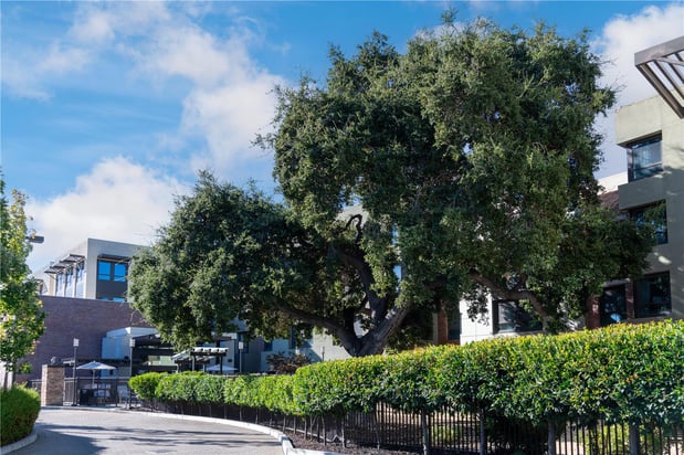 Images Homewood Suites by Hilton Palo Alto