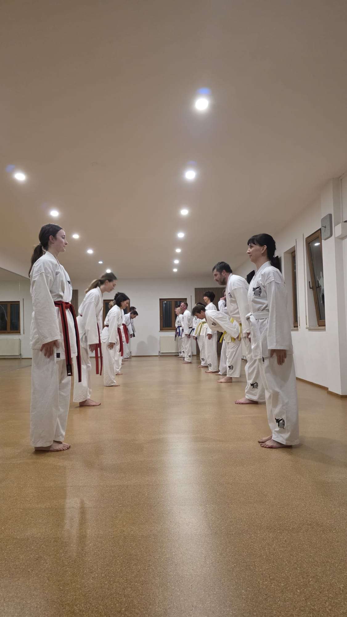 Taekwondo Peter Ivenz - Aichach, Prieferstraße 42 in Aichach