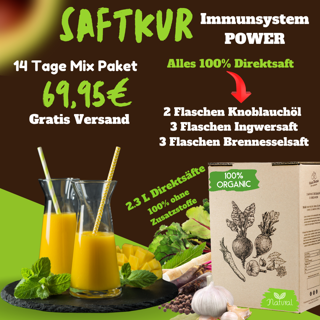 KSH KOCH Knoblauchmanufaktur in Osterburken