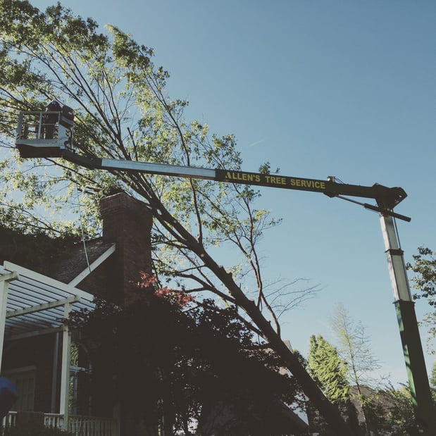 Images Allen's Tree Service, Inc.