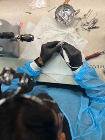 Images Elevate Dental - Dayton