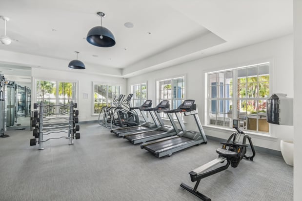 Images Ivory Lantana