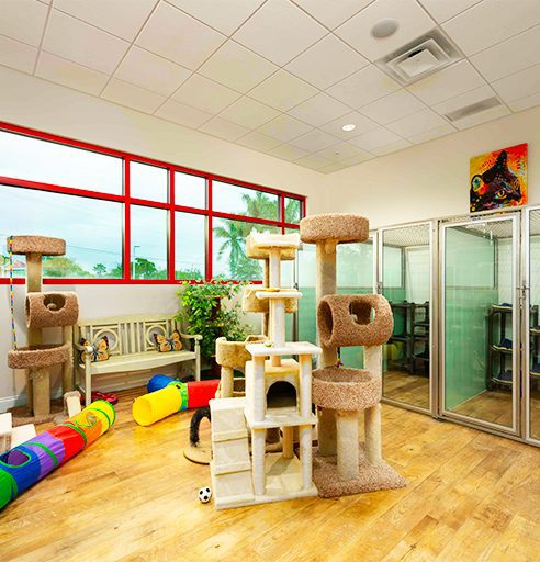 Images Bayside Pet Resort