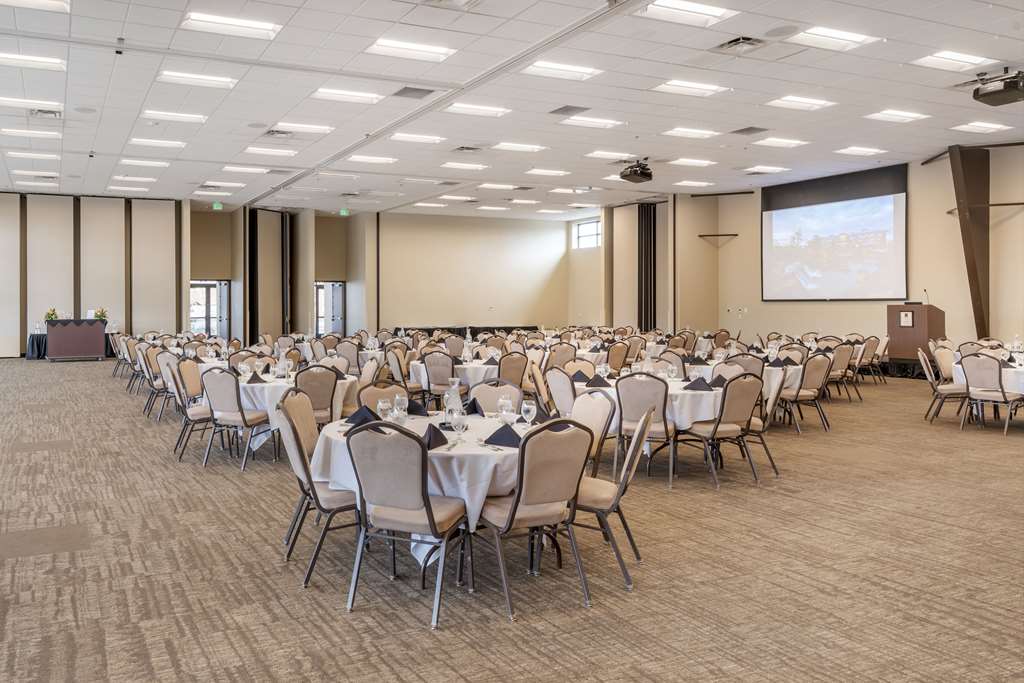 Meeting Room / Banquet Space