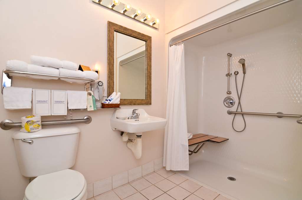 Guest Room Bathroom Accessible