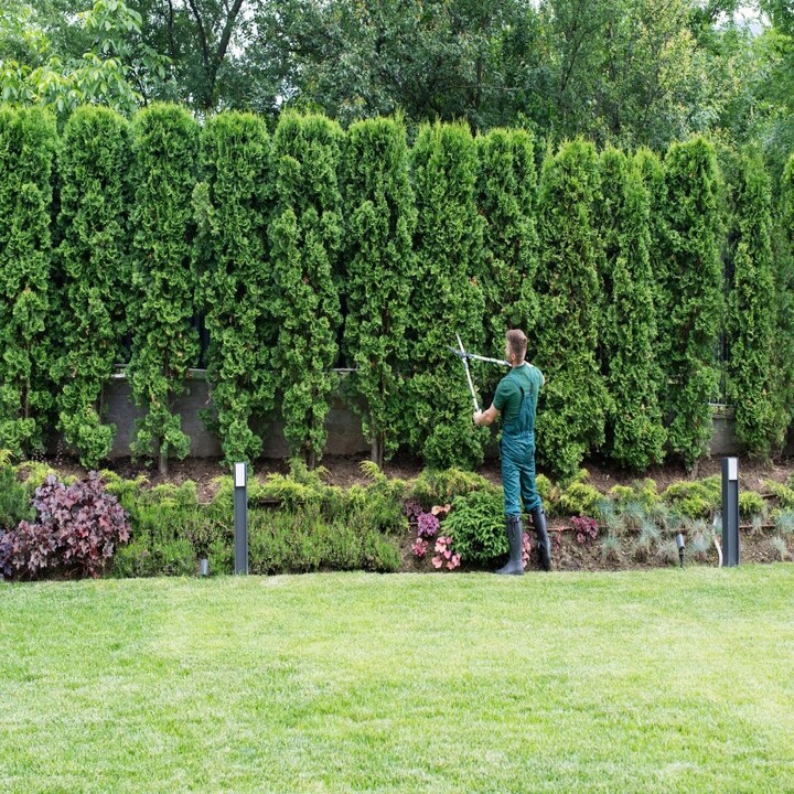 Images Melecio Landscaping